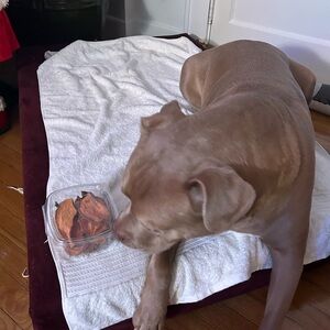 Dog treats Homemade Sweet potatoes chews for dogs. Made to order